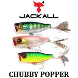 Jackall Chubby Popper