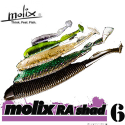 Molix Ra Shad 6"