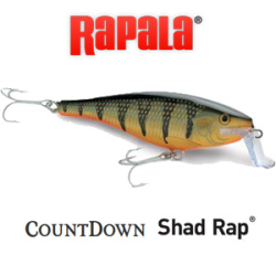 Rapala CountDown Shad Rap