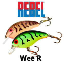 Rebel Wee R