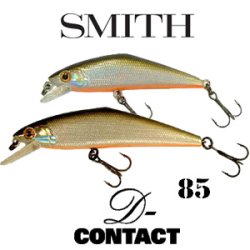 Smith D-Contact 85