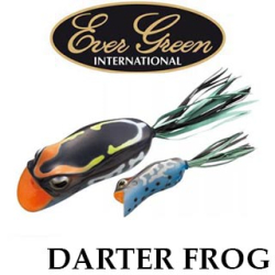 Ever Green Darter Frog