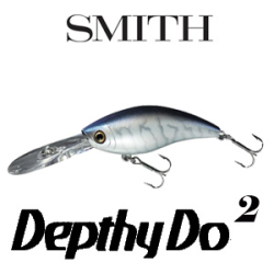 Smith Depthy Do 2 