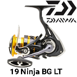 Daiwa 19 Ninja BG LT