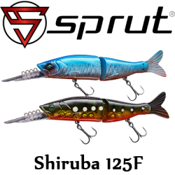 Sprut Shiruba 125F