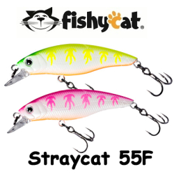 Fishycat Straycat 55F