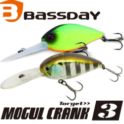 Bassday Mogul Crank Target 3