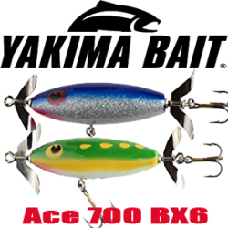 Yakima Ace 700 BX6