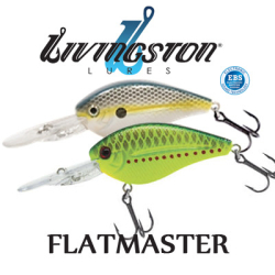 Livingston Flat Master