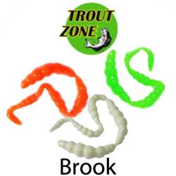 Trout Zone Brook