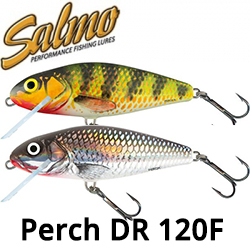 Salmo Perch DR 120F