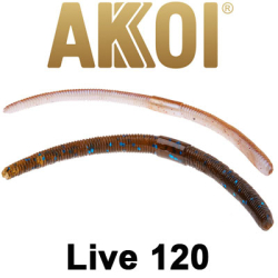 Akkoi Live 120