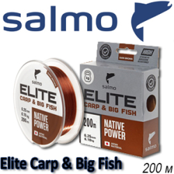 Salmo Elite Carp & Big Fish 200m