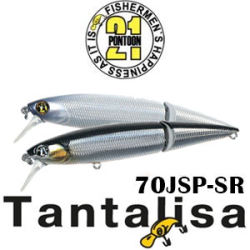 Pontoon21 Tantalisa 70JSP-SR