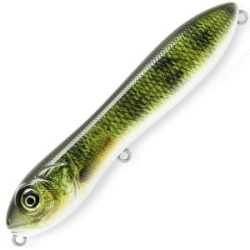 Воблер Baker LED-1 Top Water цвет T004