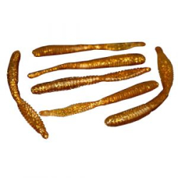 Силиконовая приманка Zombie SET W (Набор червей) цвет Gold Cola (Золотая Кола), glitter (блёстка)