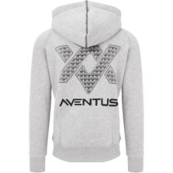 Худи Guru Aventus Hoodie Grey р. XL