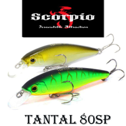 Sсorpio Tantal 80SP