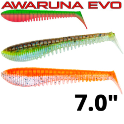 Pontoon21 Homunculures Awaruna Evo 7.0"