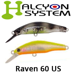 Halcyon System Raven 60 US
