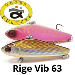 Grows Culture Rige Vib 63