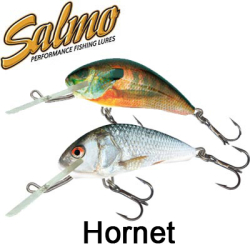 Salmo Hornet