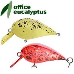 Office Eucalyptus