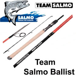 Team Salmo Ballist