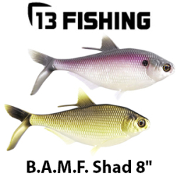 13 Fishing B.A.M.F. Shad 8"