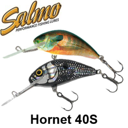 Salmo Hornet 40S