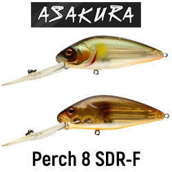 Asakura Perch 8 SDR-F