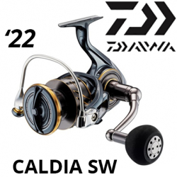 Daiwa 22 Caldia SW