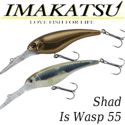 Imakatsu Shad Is Wasp 55