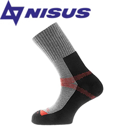 Nisus Andes