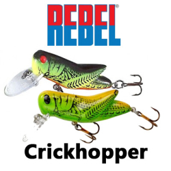 Rebel Crickhopper