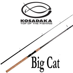 Kosadaka Big Cat