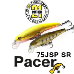 Pontoon21 Pacer 75JSP SR 