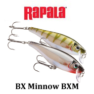 Rapala BX Minnow BXM07