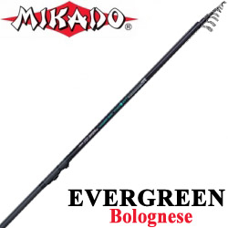 Mikado Evergreen Bolognese