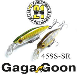 Pontoon21 GagaGoon 45SS-SR 