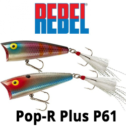 Rebel Pop-R Plus P61