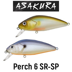 Asakura Perch 6 SR-SP