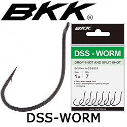 BKK DSS-Worm