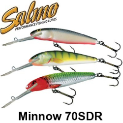 Salmo Minnow SDR 70