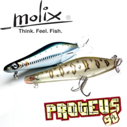 Molix MTW (Proteus) 90 