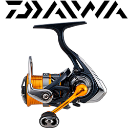 Daiwa 24 Revros CS