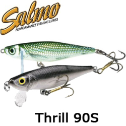 Salmo Thrill 90S