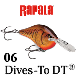 Rapala Dives-To DT06