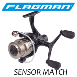 Flagman Sensor Match