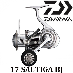 Daiwa 17 Saltiga BJ